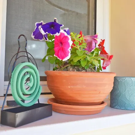 شقة Kosmas Family House 2 Kanálion